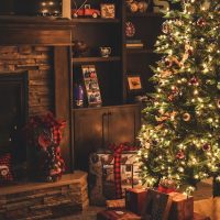 Bah, Humbug: Inflation Drives Christmas Tree Prices Up